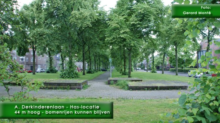 montE2054- has-Brad-  web 2009