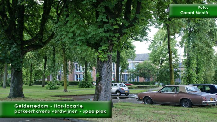 montE2055- has-Brad-  web 2009