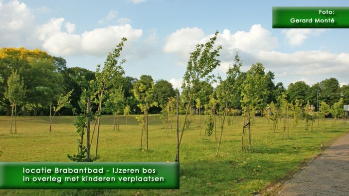 montE2058- has-Brad-  web 2009