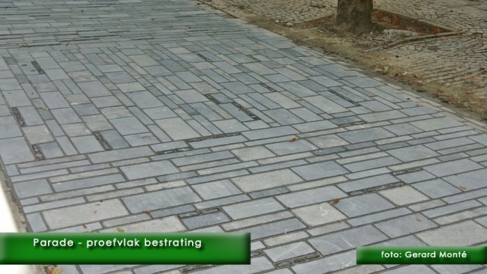 montE2778- parade proefvlak-  web 2009