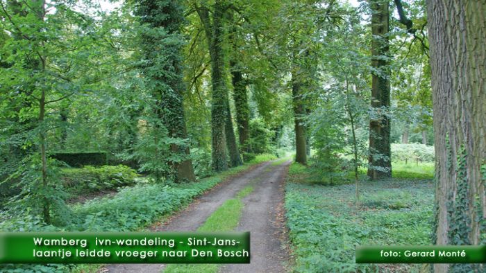 montE3387- wamberg-wandeling-  web 2009