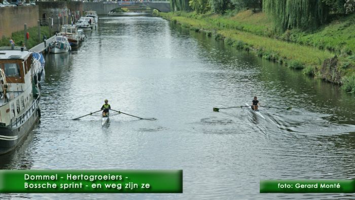 montE3502- hertogroeiers 1-  web 2009