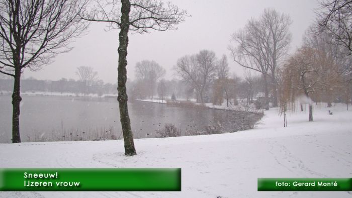 montE4569- sneeuw 1-  web 2009