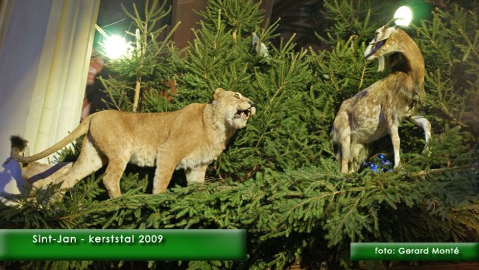 montE4686- sintjan kerststal 4-  web 2009