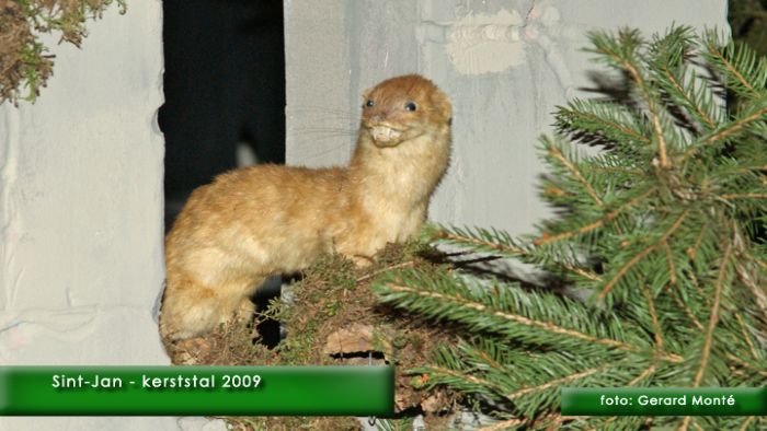 montE4690- sintjan kerststal 4-  web 2009