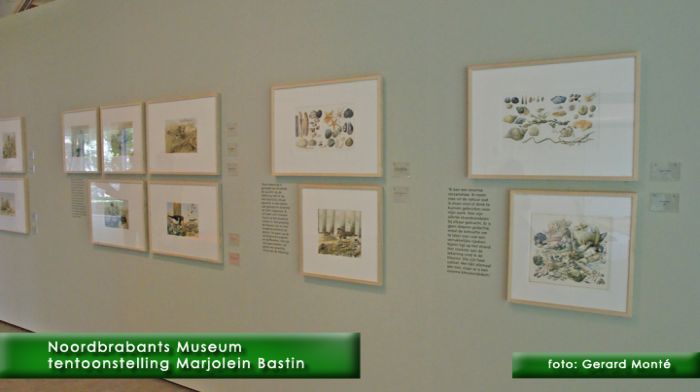 montE4696- NbM Bastin 1-  web 2010