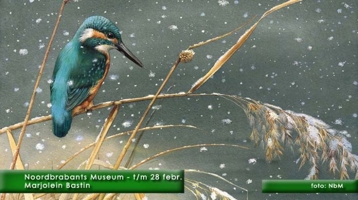 montE4710b- NbM Bastin 3-  web 2010