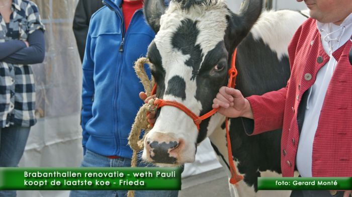 montE5587- brabanthallen laatste koe-  web 2010