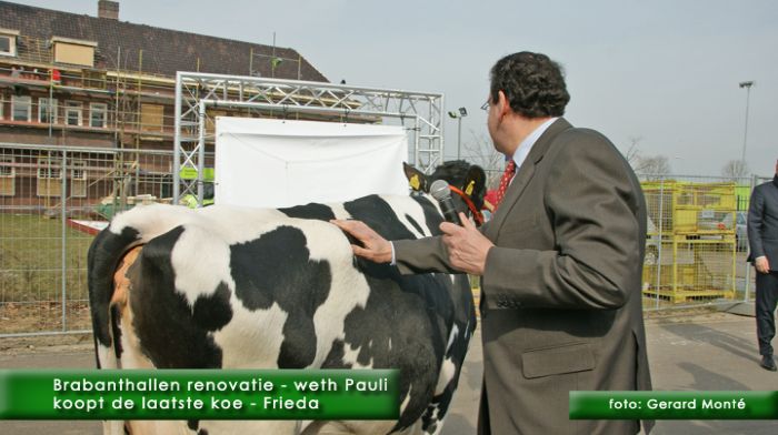 montE5588- brabanthallen laatste koe-  web 2010