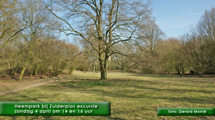 montE5650- heempark-  web 2010