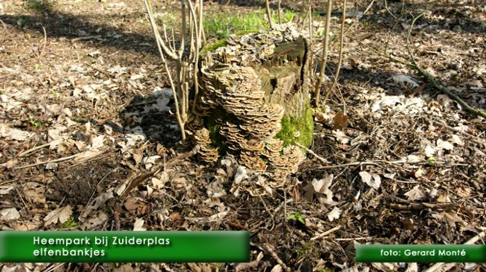 montE5654- heempark-  web 2010