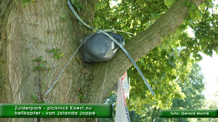 montE6746- picknick Koest zuiderpark-  web 2010