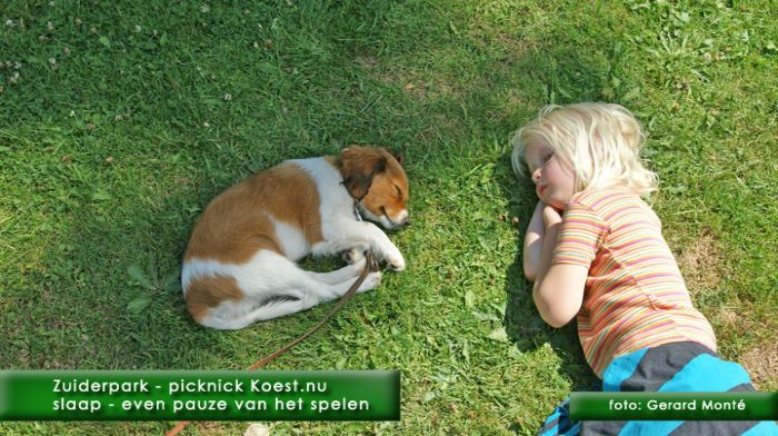 montE6757- picknick Koest zuiderpark-  web 2010