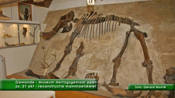 montE7479 - gemalen Gewande de 31e-  web 2010