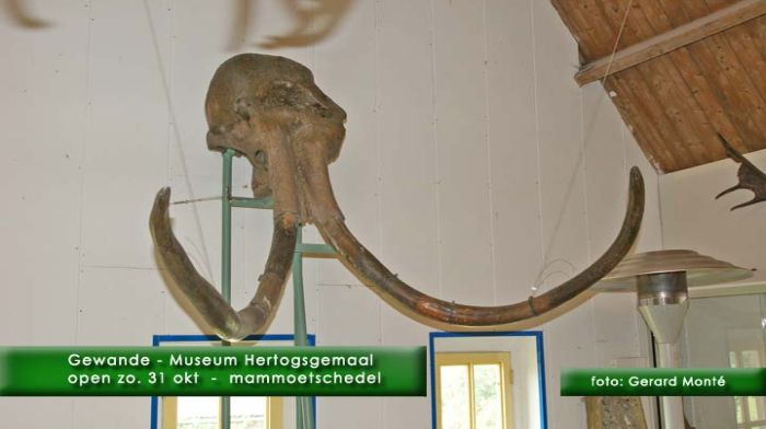 montE7482 - gemalen Gewande de 31e-  web 2010