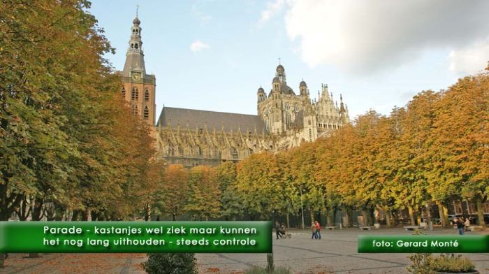 montE7564- Parade herinrichting-  web 2010