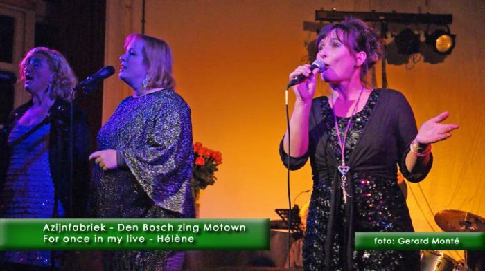 montE7681- Den Bosch Motown 2-  web 2010