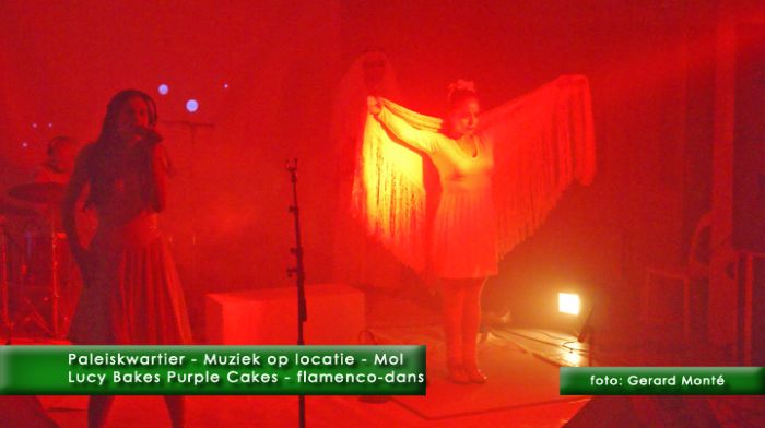 montE7808- Mol paleiskwartier-  web 2010