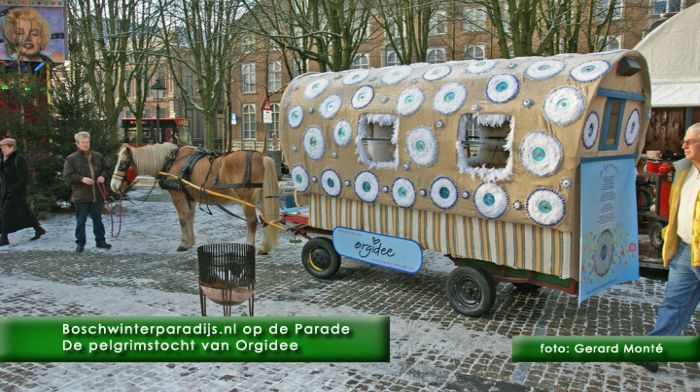 montE7841- boschwinterparadijs div-  web 2010