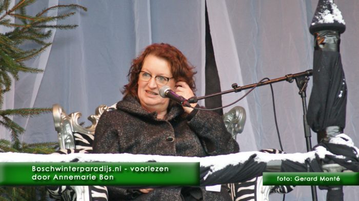 montE7848- boschwinterparadijs div-  web 2010