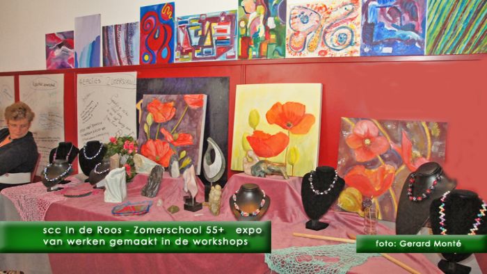 0montE9311- zomerschool 55plus In de Roos-  web 2011