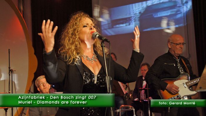montE11341- Den Bosch zingt 007-  web 2012