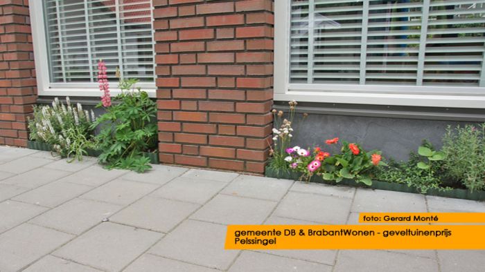 montE12306- geveltuinenprijs-  web 2012