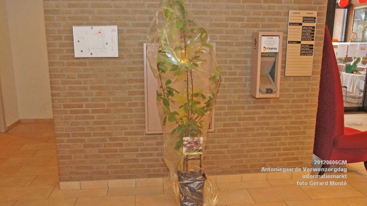 DSC08524-  Antoniegaarde verwenzorgdag - foto GerardMontE - web