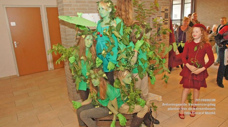 DSC08551-  Antoniegaarde verwenzorgdag kersenboom - foto GerardMontE - web