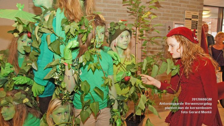 DSC08554-  Antoniegaarde verwenzorgdag kersenboom - foto GerardMontE - web