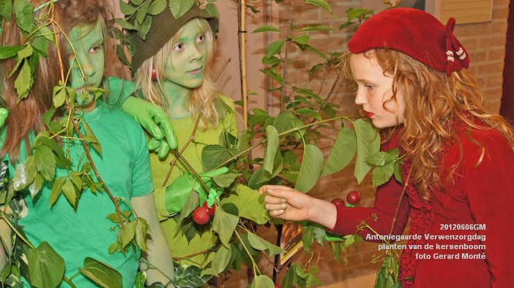 DSC08555-  Antoniegaarde verwenzorgdag kersenboom - foto GerardMontE - web