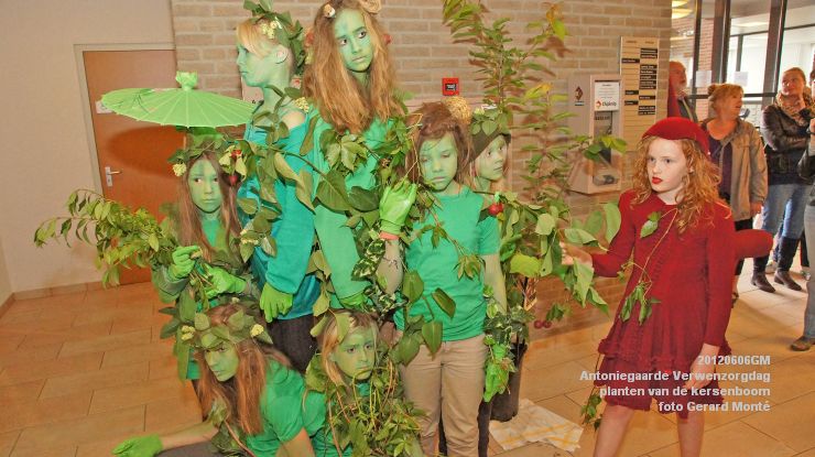 DSC08559-  Antoniegaarde verwenzorgdag kersenboom - foto GerardMontE - web