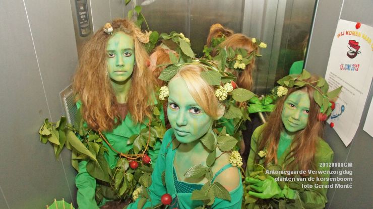 DSC08560-  Antoniegaarde verwenzorgdag kersenboom - foto GerardMontE - web