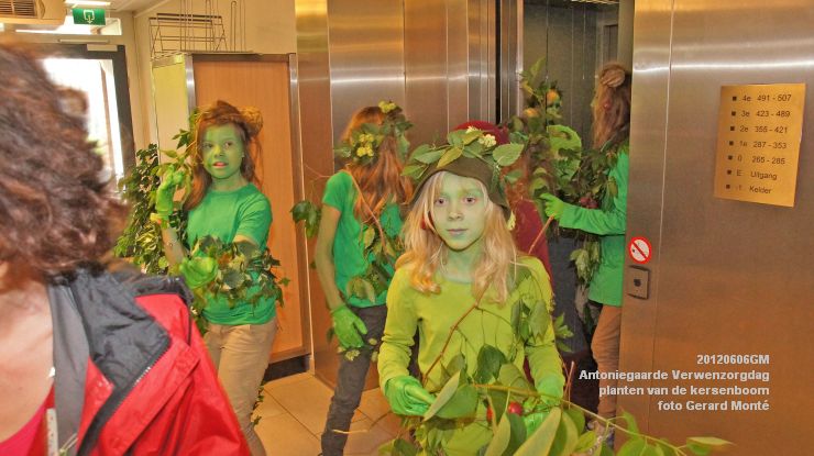 DSC08562-  Antoniegaarde verwenzorgdag kersenboom - foto GerardMontE - web