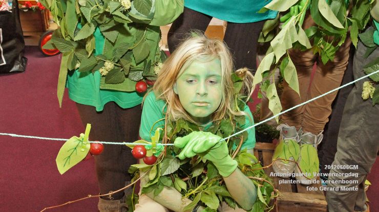 DSC08566-  Antoniegaarde verwenzorgdag kersenboom - foto GerardMontE - web