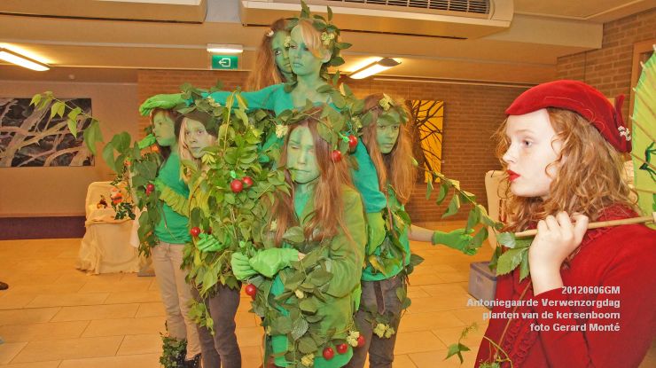 DSC08576-  Antoniegaarde verwenzorgdag kersenboom - foto GerardMontE - web