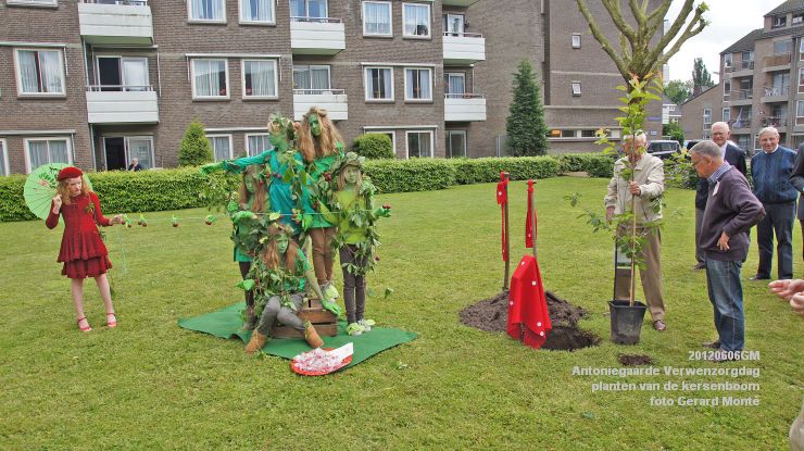 DSC08580-  Antoniegaarde verwenzorgdag kersenboom - foto GerardMontE - web