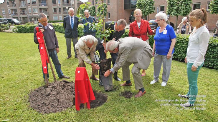 DSC08589-  Antoniegaarde verwenzorgdag kersenboom - foto GerardMontE - web