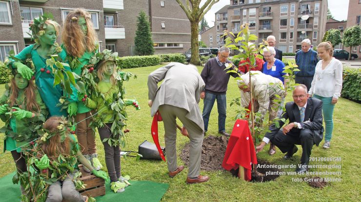 DSC08591-  Antoniegaarde verwenzorgdag kersenboom - foto GerardMontE - web
