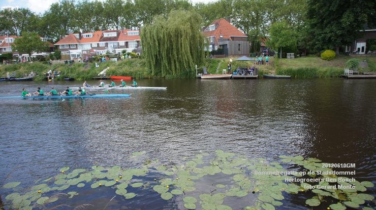 DSC09343- dommelregatta 10juni2012 - foto GerardMontE - web