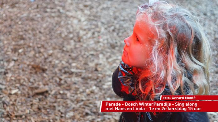 montE14237- BWP div optredens-  web 2012