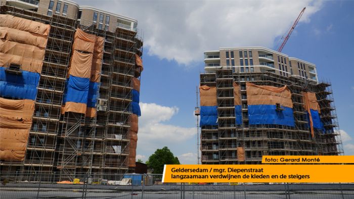 montE22032- amazones montE22032- amazones