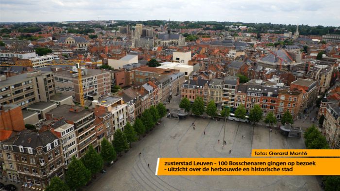 montE22053- Leuven montE22053- Leuven