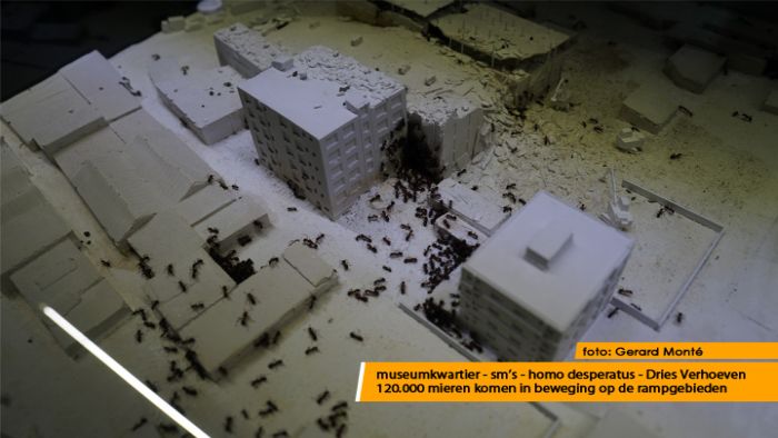 montE22229- sm montE22229- sm