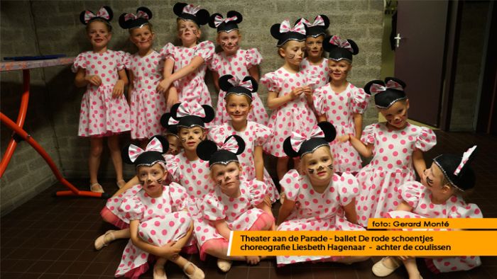 montE22238- ballet de rode schoentjes montE22238- ballet de rode schoentjes