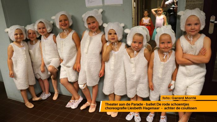 montE22239- ballet de rode schoentjes montE22239- ballet de rode schoentjes