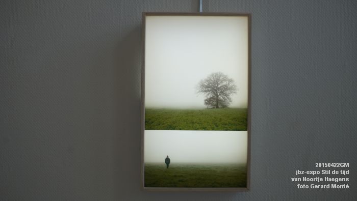 DSC00761- jbz-expo Stil de tijd - Noortje Haegens  - 22apr2015 - foto GerardMontE web