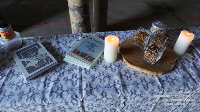 DSC01005- aquaponics in mengfabriek - dag stadslandbouw - 6juni2015 - foto GerardMontE web