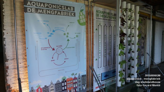 DSC01012- aquaponics in mengfabriek - dag stadslandbouw - 6juni2015 - foto GerardMontE web
