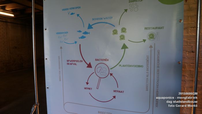 DSC01013- aquaponics in mengfabriek - dag stadslandbouw - 6juni2015 - foto GerardMontE web